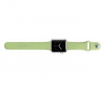 Strap Snaige Apple Silicone Strap For Apple Watch 42mm Green