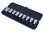 Tools set: socket bits | plastic cassette | hex key | 9pcs.