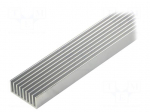 Heatsink: extruded | grilled | natural | L: 1000mm | W: 33mm | H: 14mm