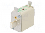 Fuse: fuse | aM | 50A | 690VAC | ceramic,industrial | NH00 | WT-NH