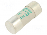 Fuse: fuse | 100A | 500VAC | aM | ceramic,cylindrical,industrial