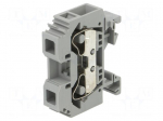 Splice terminal: rail