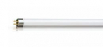 PHILIPS spuldze Actinic BL TL 11W/10 928000601030 8711500951458