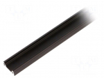 Profiles for LED modules | surface | black | L: 2m | aluminium