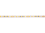 LED strip,  5m reel, 24V 9.6W/m, IP20, 5mm PCB, warm white 3000K