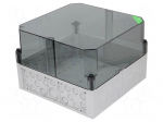 Enclosure: junction box | X: 300mm | Y: 300mm | Z: 209mm | polycarbonate