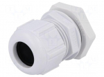 Cable gland | M25 | 1,5 | IP68 | Mat: polyamide | grey