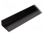 Profiles for LED modules | black | L: 2m | LOWI | aluminium | surface