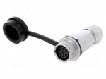 Connector: circular | plug | female | PIN: 7 | IP67 | SF12 | 4&divide;6.5mm | 5A