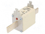 Fuse: fuse | 250A | 500VAC | gG | industrial | NH2