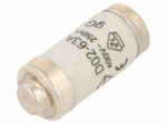 Fuse: fuse | 63A | 400VAC | 250VDC | gG,time-lag | D02