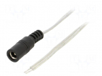 Cable | 2x0.5mm2 | wires,DC 5,5/2,5 socket | straight | transparent