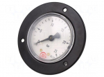 Manometer | 0&divide;25bar | rear connection | Thread: G 1/4" | 50mm | metal