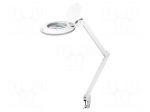 Desk magnifier | with backlight | 3dpt | &Oslash;127mm | Illumination: LED