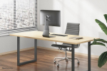 Neomounts monitor desk mount