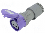 Connector: AC supply | plug | female | 32A | 24VAC | IEC 60309 | IP44