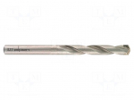 Drill bit | for concrete | &Oslash;: 8mm | L: 300mm | steel | cemented carbide