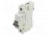 Circuit breaker | 230/400VAC | Inom: 10A | Poles: 1 | Charact: C | 10kA
