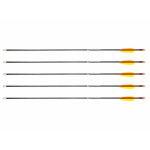 Poe Lang 28&rsquo; fibreglass arrows - set of 5 (D-055-B3)