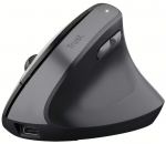 Trust Bayo II Ergonomic Wireless Mouse