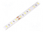 LED tape | white cold | 5630 | 24V | LED/m: 60 | 12mm | IP65 | 24W/m