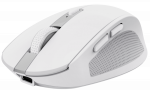 Mouse Trust Ozaa White