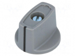 Knob | with pointer | ABS | &Oslash;shaft: 6mm | &Oslash;23x16mm | grey | Shaft: smooth