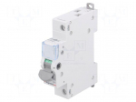 Switch-disconnector | Poles: 1 | DIN | 16A | 250VAC | FR300 | IP20