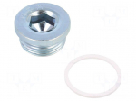 Protection cap | zinc plated steel | Thread: G 1" | Gasket: PVC