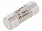 Fuse: fuse | 80A | 500VAC | gG | ceramic,cylindrical,industrial