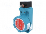 Limit switch | without lever | NO + NC | 10A | max.600VAC | max.250VDC
