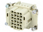 Connector: HDC | contact insert | female | 10A | 250V | Han&reg; DD | PIN: 24
