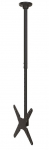 NEWSTAR FLAT SCREEN CEILING MOUNT (HEIGHT: 106-156 CM) 32-75&rdquo; BLACK