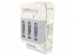 Fuse-switch disconnector | NH00 | 160A | 690VAC | Poles: 3