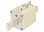 Fuse: fuse | 300A | 500VAC | gG | industrial | NH2