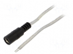 Cable | 2x0.5mm2 | wires,DC 5,5/2,5 socket | straight | transparent