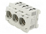 Fuse holder | D01 | for DIN rail mounting | 16A | 400V | Poles: 3