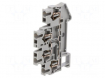 Splice terminal: rail | STTB | for DIN rail mounting | spring clamp