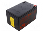 Re-battery: acid-lead | 12V | 12Ah | AGM | maintenance-free