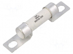 Fuse: fuse | 20A | 800VDC | ceramic