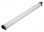 Lamp: machine light | 8W | 24VDC | L: 350mm | 0.33A | 60000h | 120&deg; | IP54