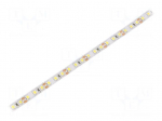LED tape | white cold | 2835 | 12V | LED/m: 120 | 8mm | IP20 | 20W/m
