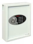 Phoenix Safe Co. Cygnus KS0032E Metal White