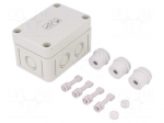 Enclosure: junction box | X: 65mm | Y: 94mm | Z: 57mm | polystyrene | IP54