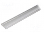 Profiles for LED modules | natural | L: 2m | SURFACE14 | aluminium