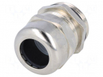 Cable gland | PG21 | IP68 | brass | SKINTOP&reg; | SKINTOP&reg; MS