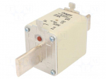 Fuse: fuse | 315A | 500VAC | gG | industrial | NH2