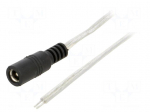 Cable | 2x0.5mm2 | wires,DC 5,5/2,5 socket | straight | transparent