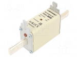 Fuse: fuse | 100A | 690VAC | 400VDC | gG | ceramic,industrial | NH1