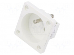 Connector: AC supply | socket | 2P+PE | 250VAC | 16A | white | PIN: 3 | IP20